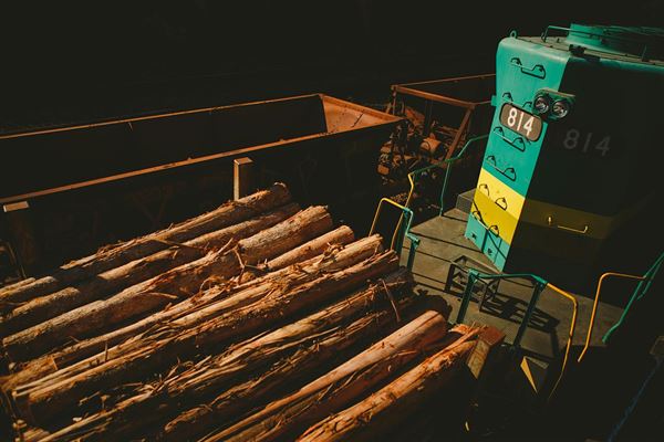 Flishugger leje - En praktisk guide til haveprojekter